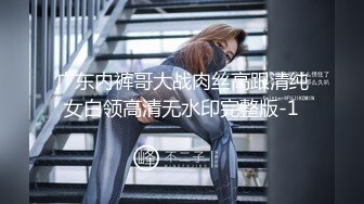 广东内裤哥大战肉丝高跟清纯女白领高清无水印完整版-1