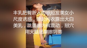 丰乳肥臀新人肉感短发美女小尺度诱惑，撩起内衣露出大白美乳，跳蛋塞内裤震动，掰穴用火腿肠摩擦阴蒂