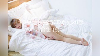 LJ极品地铁高清CD系列20部合集 (6)