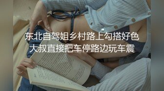 东北自驾姐乡村路上勾搭好色大叔直接把车停路边玩车震