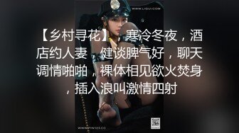 【乡村寻花】，寒冷冬夜，酒店约人妻，健谈脾气好，聊天调情啪啪，裸体相见欲火焚身，插入浪叫激情四射