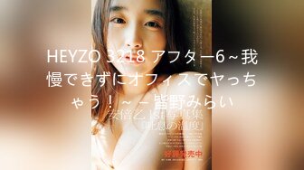 HEYZO 3218 アフター6～我慢できずにオフィスでヤっちゃう！～ – 皆野みらい