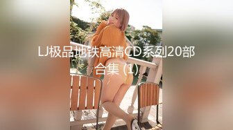 LJ极品地铁高清CD系列20部合集 (1)