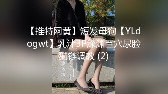 【推特网黄】短发母狗【YLdogwt】乳汁3P深渊巨穴尿脸狗链调教 (2)