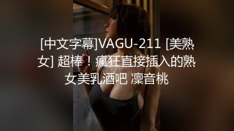 [中文字幕]VAGU-211 [美熟女] 超棒！瘋狂直接插入的熟女美乳酒吧 凜音桃