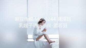 麻豆传媒 MD-0244 骚淫巨乳嫂子诱惑小叔-孟若羽