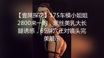 【壹屌探花】175车模小姐姐2800来一炮，黑丝美乳大长腿诱惑，69掰穴正对镜头完美展示