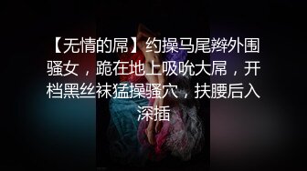 【无情的屌】约操马尾辫外围骚女，跪在地上吸吮大屌，开档黑丝袜猛操骚穴，扶腰后入深插