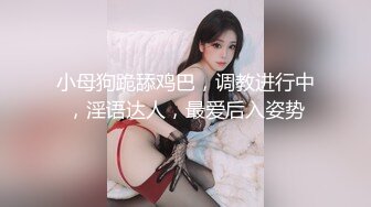 小母狗跪舔鸡巴，调教进行中，淫语达人，最爱后入姿势