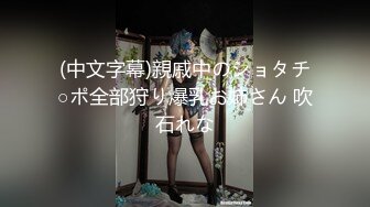 (中文字幕)親戚中のショタチ○ポ全部狩り爆乳お姉さん 吹石れな