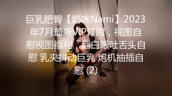 巨乳肥臀【奶咪Nami】2023年7月最新VIP订阅，视图自慰视图福利，翻白眼吐舌头自慰 乳夹抖动巨乳 炮机抽插自慰 (2)