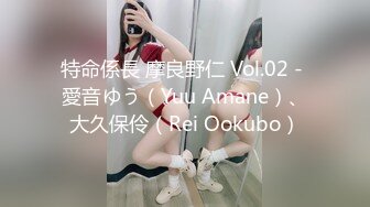 特命係長 摩良野仁 Vol.02 - 愛音ゆう（Yuu Amane）、大久保伶（Rei Ookubo）