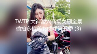 TWTP 大神潜入商场女厕全景偷拍多位美女嘘嘘第五季 (3)