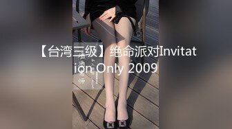 【台湾三级】绝命派对Invitation Only 2009