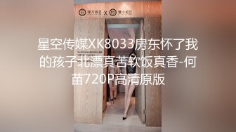 星空传媒XK8033房东怀了我的孩子北漂真苦软饭真香-何苗720P高清原版