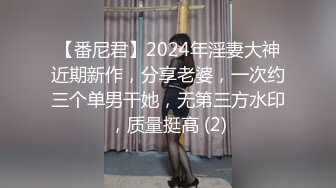 【番尼君】2024年淫妻大神近期新作，分享老婆，一次约三个单男干她，无第三方水印，质量挺高 (2)