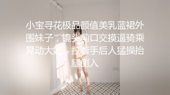 小宝寻花极品颜值美乳蓝裙外围妹子，镜头前口交摸逼骑乘晃动大奶，拉着手后人猛操抬腿侧入